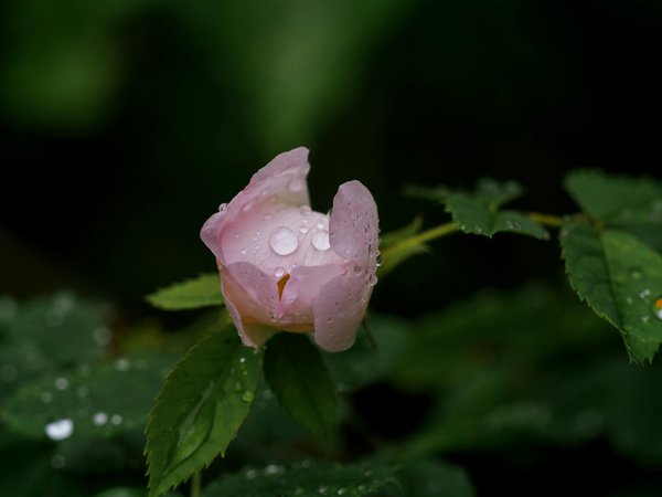 Comment estimer la valeur d'un bien immobilier avant achat ?