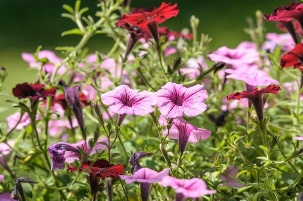 Comment déceler une fuite dans votre robinetterie ?